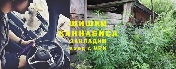 мет Ладушкин