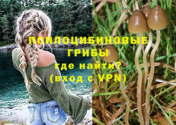 мет Ладушкин